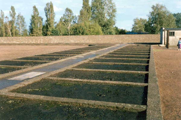 Platt. Sachsenhausen 2003. Fundamente der Zellen