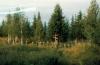 Abes: Lagerfriedhof