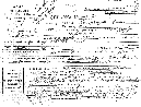 Lorscheidt, K.: Entlassungsbescheid
